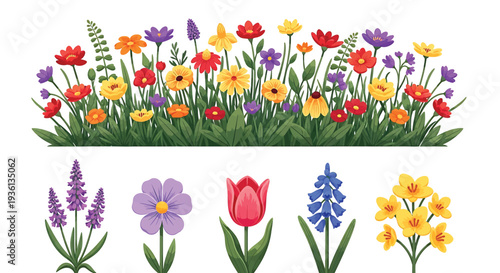 Illustration of colorful floral border with assorted flowers and individual blooms