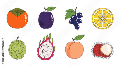 Assorted colorful fruits illustration