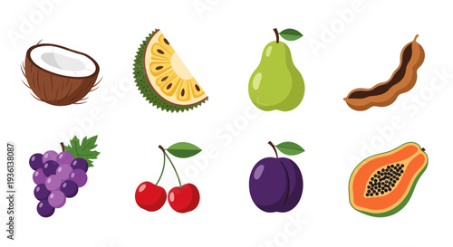 Assorted colorful fruits illustration