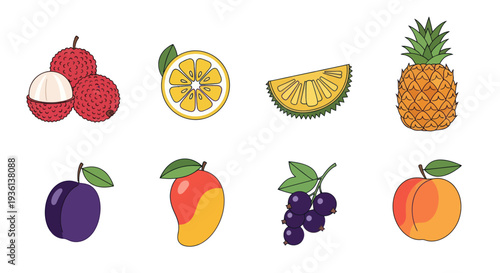 Assorted colorful fruits illustration