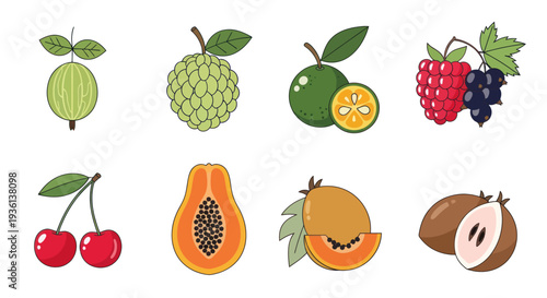 Assorted colorful fruits illustration