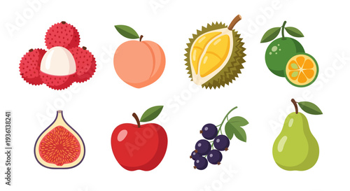 Assorted tropical fruit collection illustration