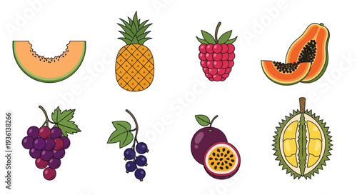 Assorted tropical fruit collection vector illustration