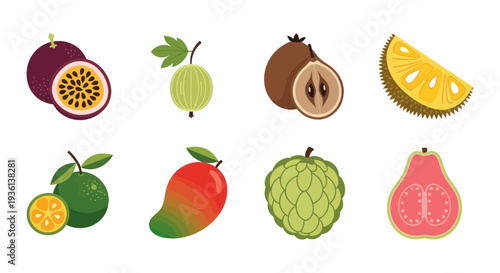 Assorted tropical fruit collection vector illustration
