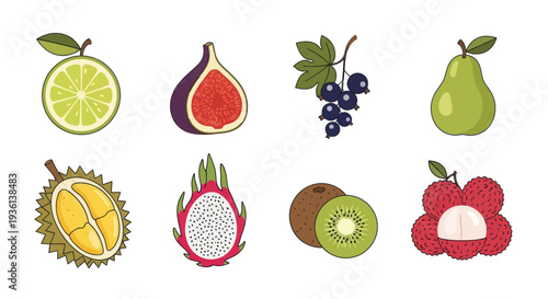 Assortment of colorful tropical fruits