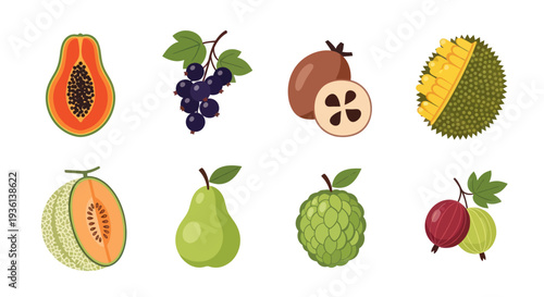 Assortment of fresh fruits vector illustration