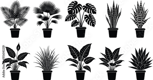Indoor houseplant silhouettes collection in pots, decorative tropical plants isolated on white background home decor vector illustration set