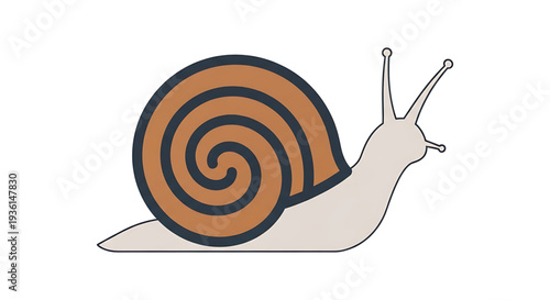 A whimsical illustration of a snail with a brown and orange swirled shell, depicted in a minimalist, cartoonish style on a white background