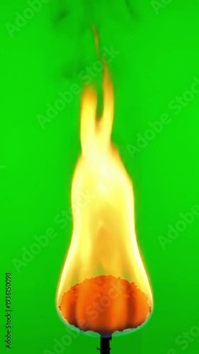 Wallpaper Mural Dynamic Isolated Flame with burning on green screen used for fire video effect distortion, overlay, glitch, static noise, scan lines black background, 4k animated loop Torontodigital.ca