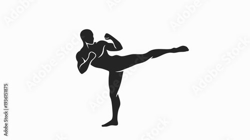 Silhouette of a man performing a martial arts kick.
