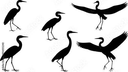 Heron bird silhouettes collection with standing and flying poses, elegant water bird wildlife illustration set isolated on white background for nature design