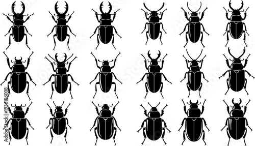 Set of black beetle insect silhouettes, detailed vector illustration collection showing different beetle species shapes, isolated on white background for design use