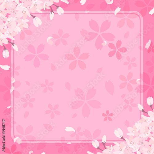 満開の桜とピンク背景_正方形