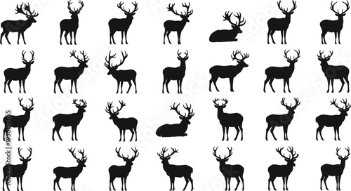 Set of deer and stag silhouettes in various poses, wild forest animals with antlers, wildlife vector illustration isolated on white background