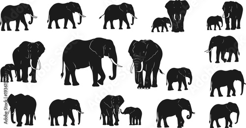 Set of elephant silhouettes in multiple poses, black African elephant family vector collection for wildlife design, logo, icon, illustration use