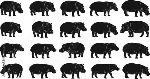 Set of hippopotamus silhouettes in multiple walking poses, black hippo animal vector collection for wildlife design, logo, icon, and illustration use