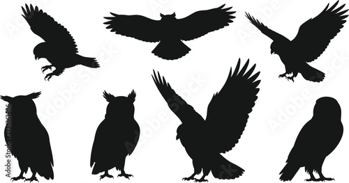 Set of owl silhouettes in various flying and standing poses, nocturnal bird vector illustration for wildlife design, nature art, and decoration
