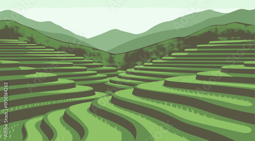 Green terraced rice fields under rolling hills in a serene landscape illustration