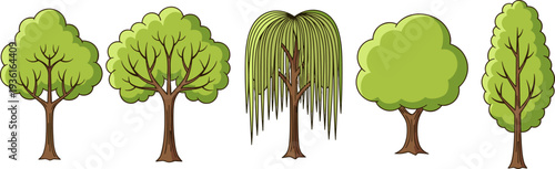 Set of various vector tree illustrations in color and silhouette, including deciduous, conifer, and weeping willow for nature, ecology, forest, and park design.