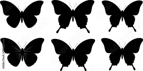 Set of various transportation vehicle vector icons, black silhouettes including cars, buses, trucks, motorcycles, and trolley, urban city traffic and public transport graphic design elements.