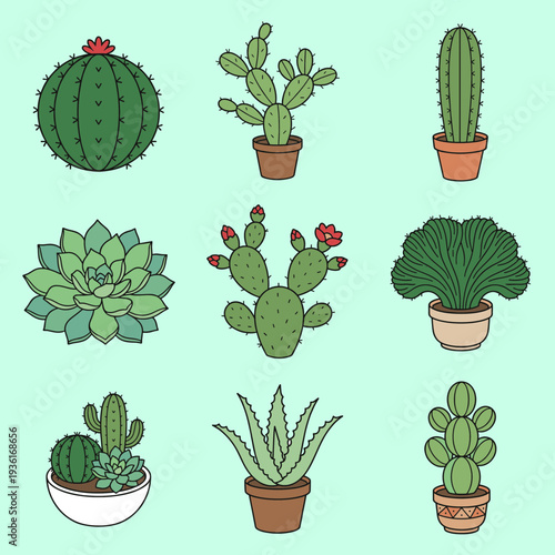 Potted cactus and succulent plants collection including desert species like prickly pear, aloe vera, and round cacti in ceramic pots for home decoration.
