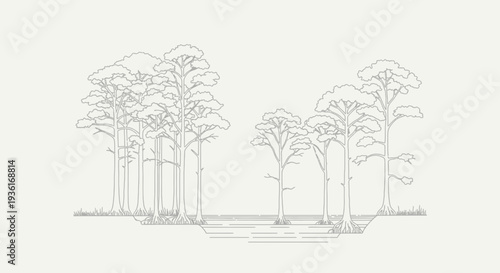 Minimalist Line Art Illustration of Cypress Trees in a Swampy Landscape