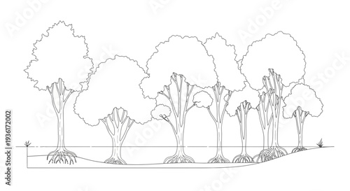 Mangrove forest ecosystem illustration with exposed roots and water level