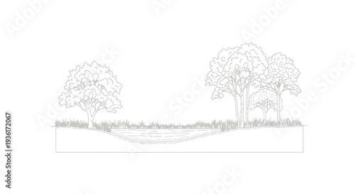 Cross section of a pond with trees and vegetation, landscape design illustration