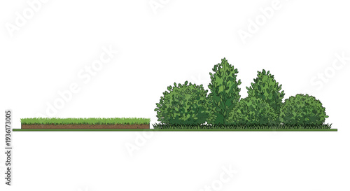 Lush Green Garden Bed with Grass Strip and Assorted Shrubs and Trees