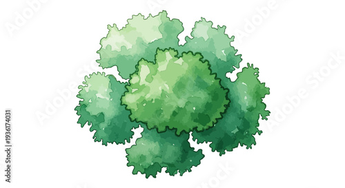 Top view of a lush green tree canopy, abstract watercolor illustration
