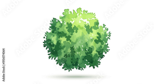 Top View Of A Lush Green Tree Canopy, Isolated On White Background, Nature Element