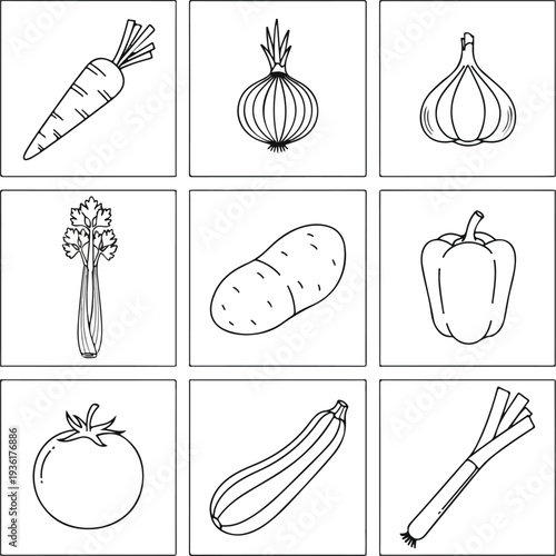 Assorted vegetables arranged together as fresh produce.