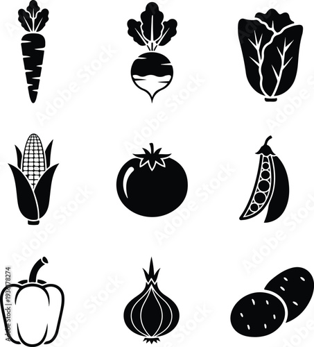 assorted vegetables collection featuring carrot tomato corn and lettuce.