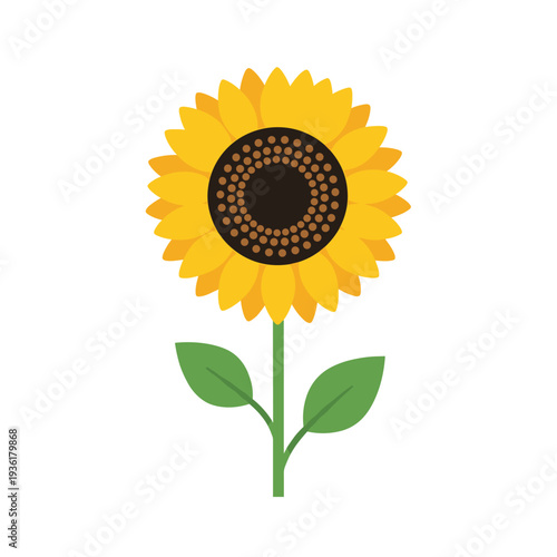 Bright Sunflower Bloom for Agriculture and Garden Graphics
