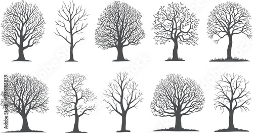 PrintStylized tree silhouettes, artistic branching patterns, deciduous trees without leaves, abstract forest design, botanical illustration, nature elements, seasonal landscape graphics