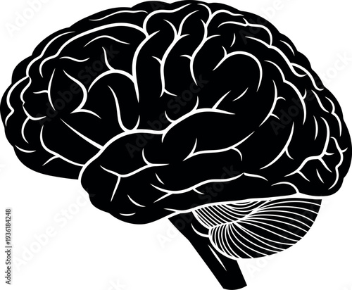 human brain vector illustration