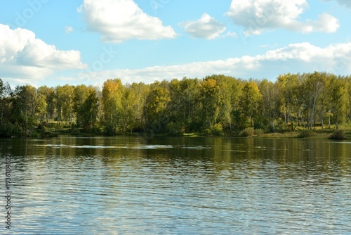 A ripple on the surface of a beautiful, wide lake surrounded by dense forest on a sunny summer day.