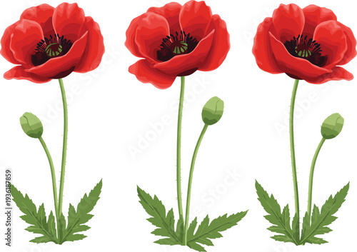 Minimalist hand drawn poppy flower vector set featuring elegant line art botanical stems for modern garden prints and clean floral branding designs
