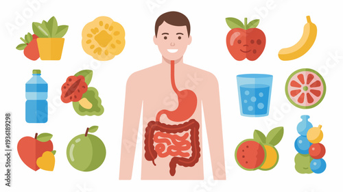 Digestive health awareness concept showing human body with fruits and healthy food for gut wellness and nutrition
