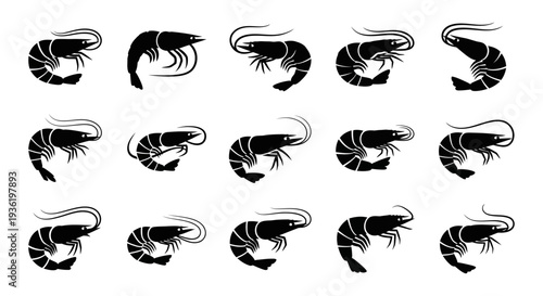 Collection of black and white illustrations showcasing various prawn poses and movements from different angles