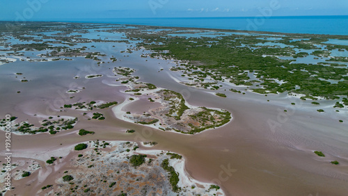 Paisajes del manglar