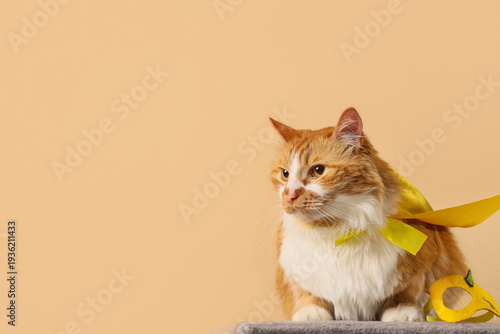 Cute cat in superhero costu...