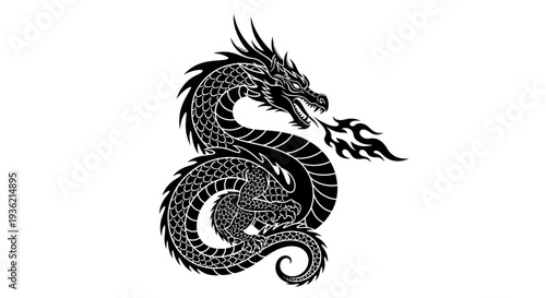 Black and White Dragon Illustration.