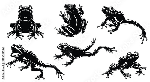 Black, silhouette, set, of, various, frogs, and, toads, in, jumping, and, sitting, poses, isolated, on, white, background, for, nature, and, wildlife,
