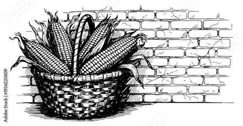 Vintage corn basket with ears of corn black and white line art