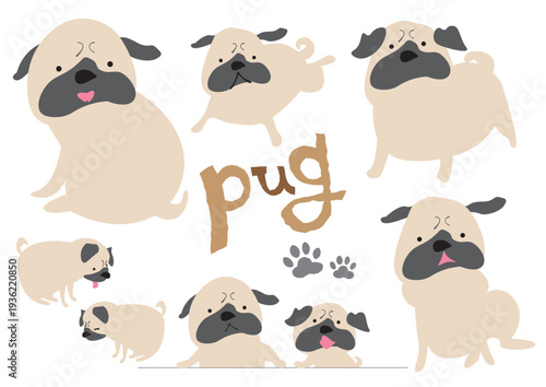 Set of cute fawn pug dog characters in various poses, flat vector illustration
