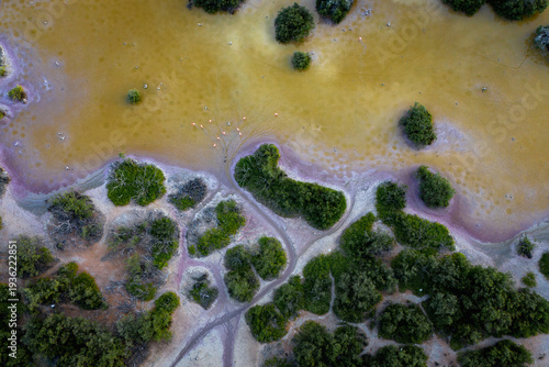 Colores de la ciénaga. Yucatán, México.