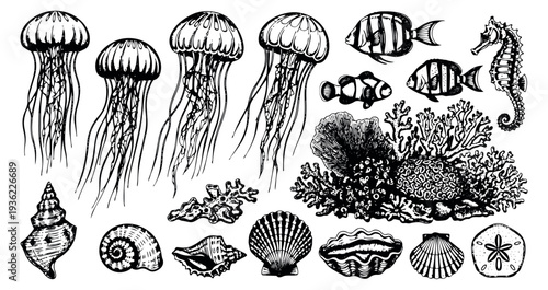 Marine life set with jellyfish, fish, seahorse, coral and seashells hand drawn outline illustration