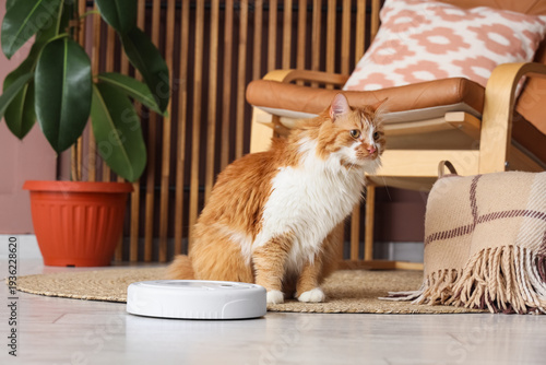 Cute fluffy cat with robot ...