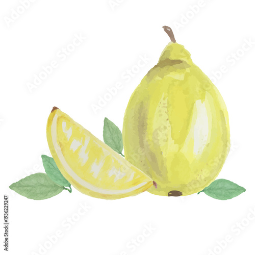 A watercolor illustration of a pear and slice